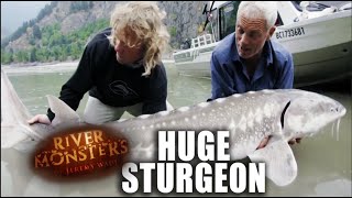 Catching An Enormous Sturgeon | River Monsters by River Monsters™ 27,613 views 2 weeks ago 3 minutes, 5 seconds