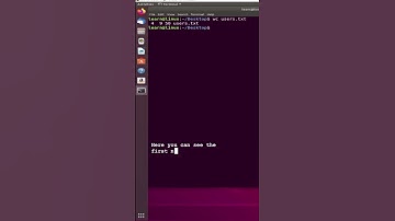 wc command in Linux with examples