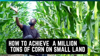 How to Achieve a Million Tons of Corn on a piece of Land  [Food security]
