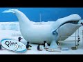 Pingu and the giant ice whale  pingu official  1 hour  cartoons for kids