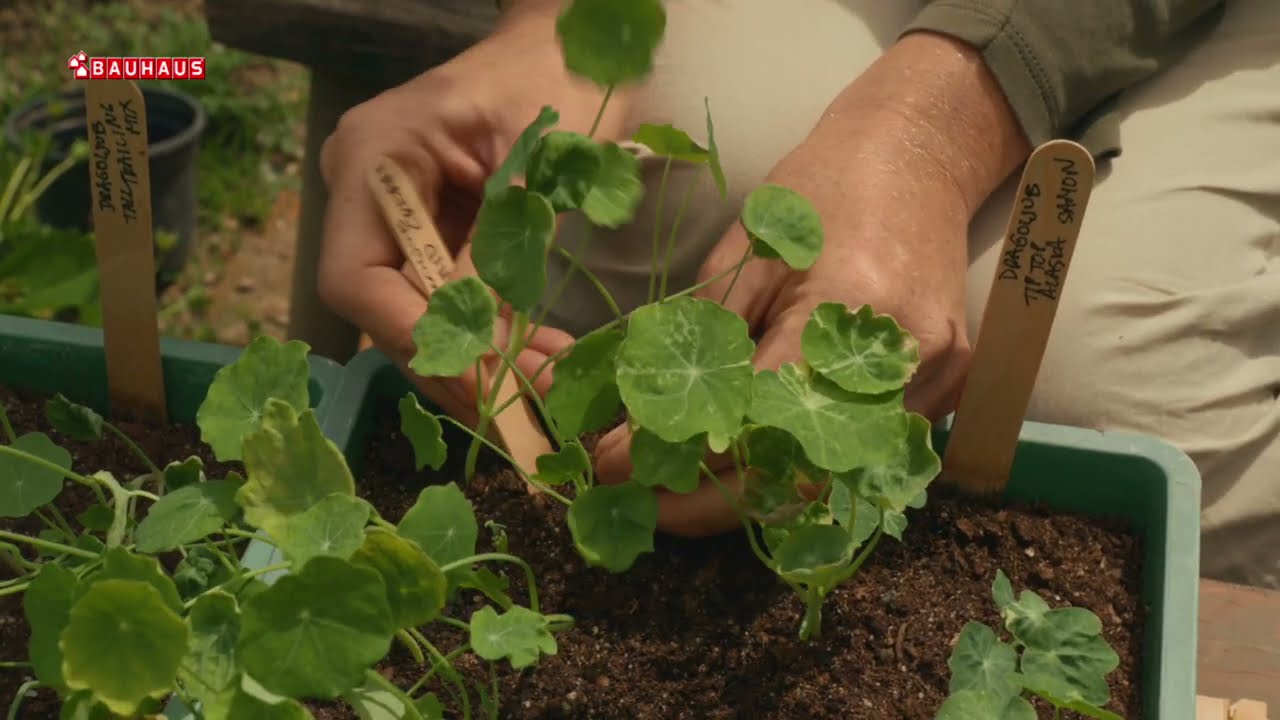 Škola vrtlarstva - dragoljub