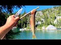 MOUNTAIN TROUT Fishing Challenge! Catch & Cook UNCUT!!!