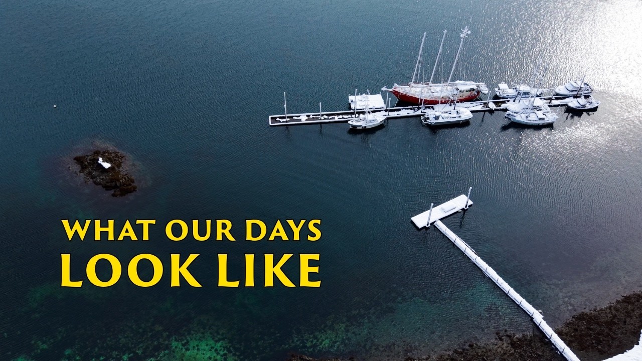 ⁣What Our Days Look Like in Port Protection Alaska