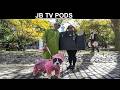 BravoCon Prep, Puppy Drama &amp; Halloween Backlash