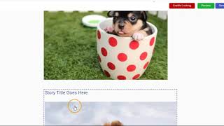 Viral Pages Created using Retainio Software screenshot 1