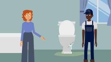 Marini v. Ireland Case Brief Summary | Law Case Explained