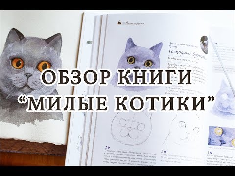 ОБЗОР: книга "Милые котики"