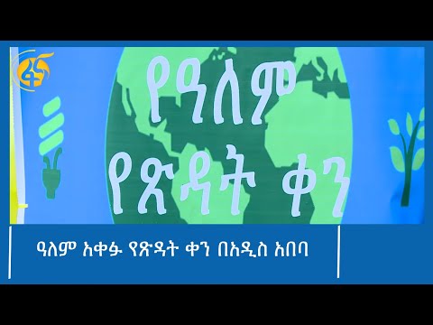 ዓለም አቀፉ የጽዳት ቀን በአዲስ አበባ