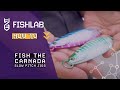 Fishlab how to fishing the carnada slow pitch jigs