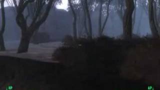 Fallout 3 Point Lookout Hallucination