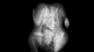 DIY X-ray CT scanner controlled by an Arduino