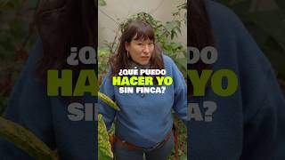 #Regeneracion URBANA sin finca en propiedad