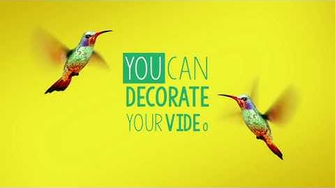 Hummingbird animation pack