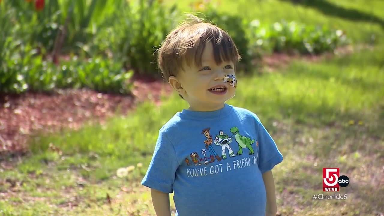 Local Toddler Classes Local Toddler Classes