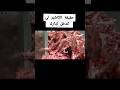 حقيقة الكاشير لتتوكل لوليداتك 