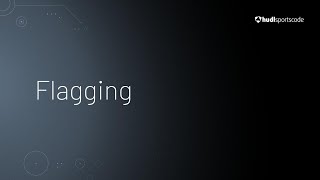 Flagging • Hudl Sportscode