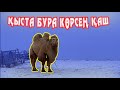 Жылқыларға шөп салып/Апачи және Бураны көрдік