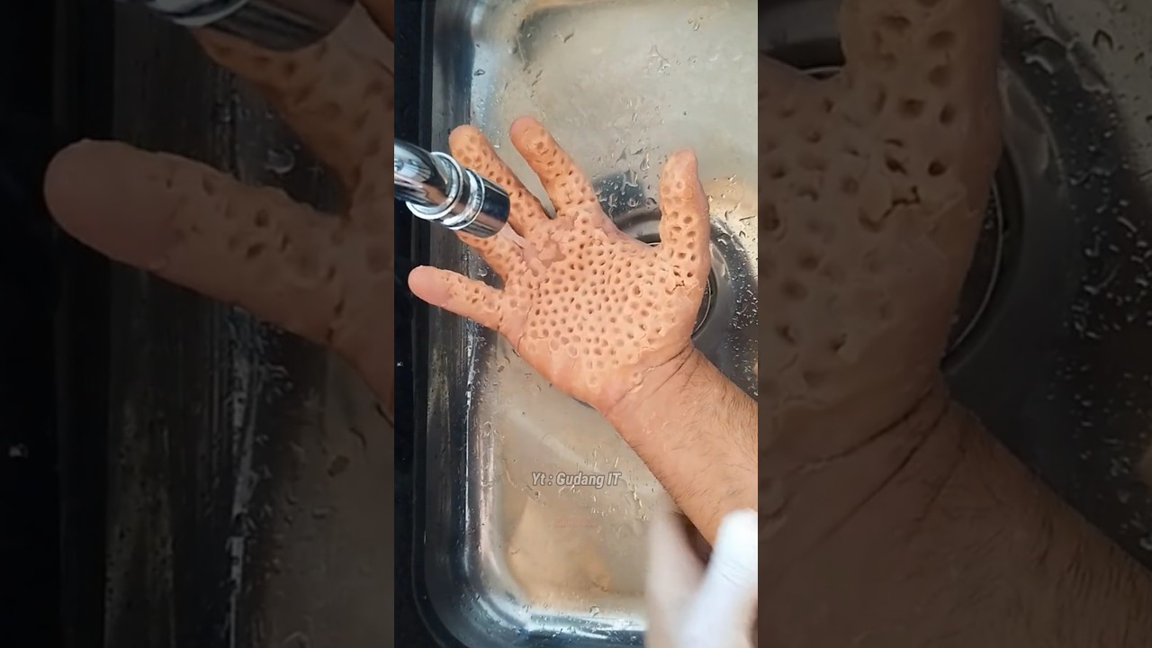 APAKAH KALIAN MEMILIKI PHOBIA 