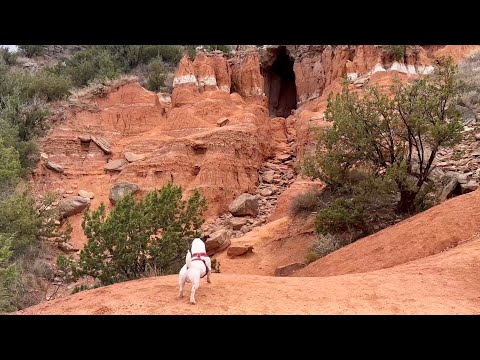Hike: Palo Duro Canyon- BIG CAVE with my dog Steve!