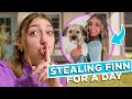 Stealing Brooklyn’s Dog For A Day