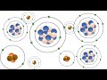 Understanding Radioactivity and Radiation