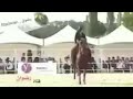 شيله في بنات اليمن كلمات الشاعر حسين محمد الحمري 
