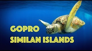 Amazing Scuba Diving Similan Islands Marine National Park, Thailand - GoPro HD