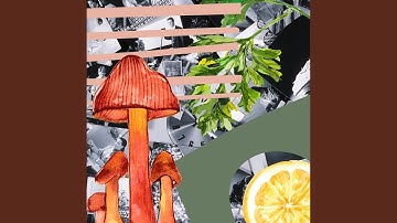 Subdued Moods for No More Changes