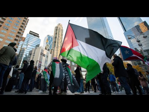 Tats Unis  Les Amricains se disent fatigus par les manifestations pro palestiniennes