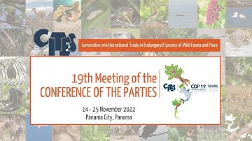 CITES CoP19 Committee I -  18 November 2022 - Afternoon session (English)