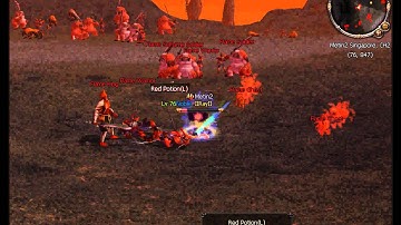 Metin2 SG Flame King and Boxes