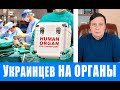 Украинцев на органы, новый закон, мы уже себе не принадлежим