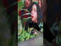 Who Recognizes This Girl Group?#shorts #kpop #ledscreen #leddisplay #aespa #ledwall