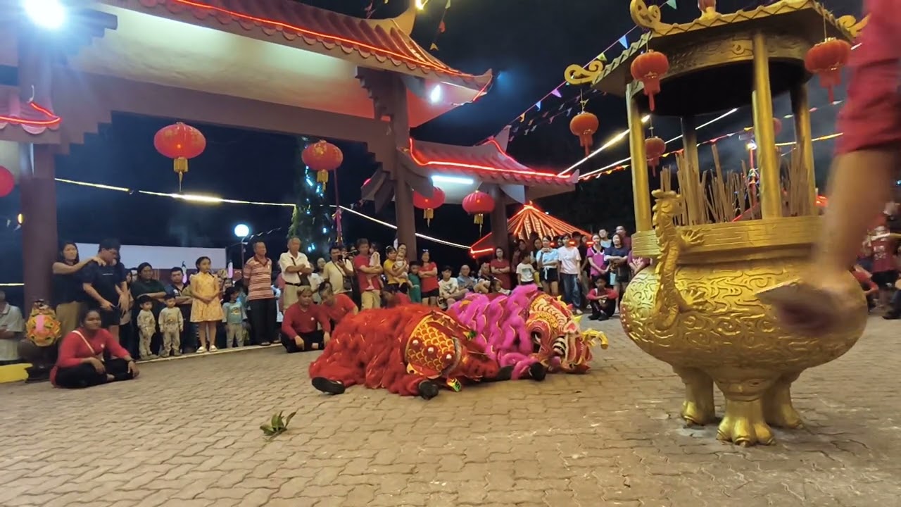 正月十五元宵节🧧拿笃客家公会麒麟团打棚🧧