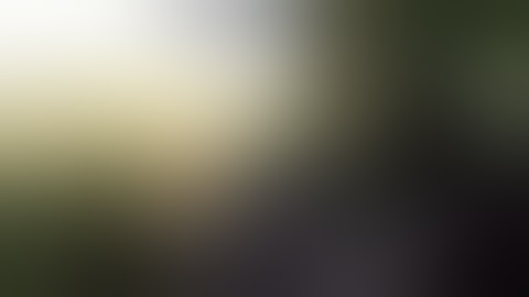 Cưa Cây Dừa Bị Cây Dừa Đập Chết l Sinh Nghề Tử Nghiệp.