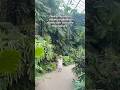 Exploring green spaces #motherearth #climateaction #naturelovers #botanicalgarden #nc #charlottenc
