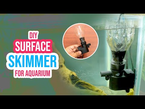 Maximize Oxygen Levels with a DIY Surface Skimmer for Your Aquarium 