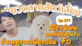 เที่ยวตลาดสัตว์เลี้ยง Ep.257 🐩 ร้านป๊อกปอมเมอเรเนียนจัดโปรพิเศษสำหรับFc #จตุจักร #chatuchak #shots