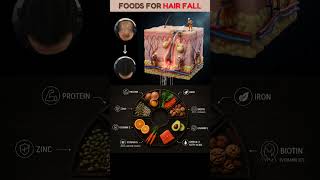 Stop Hair Fall Naturally With These Nutrients