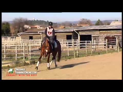 Alizee Froment How To Balance The 4y O Horse Youtube