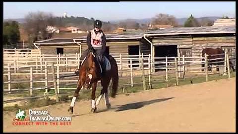 Alizee Froment- How to balance the 4y/o horse