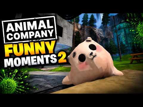 Animal company memes for 19 minutes and 25 seconds