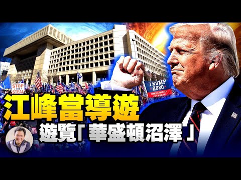 万民DC挺川普,江峰带大家一日游,看「华盛顿沼泽」长啥样(江峰漫谈20201213第265期)