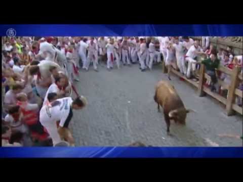 Video: Cuộc chạy đua của những chú bò tót ở Pamplona, Tây Ban Nha