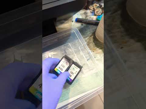 Подстава от компании Canon совместимость картриджей