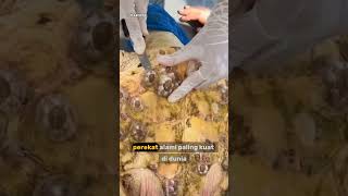 Hewan Kecil yang Hidup di Kapal dan Batu Ini Bikin Kaget Banyak Orang 😱 | Fakta Teritip”#faktaunik