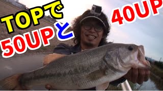 50ｃｍの魚が水面から飛び出す！ＴＯＰで２連発！　バス釣り　Bass fishing in Japan