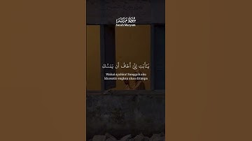 تلاوات نادره خاشعة #اكسبلور #اكسبلورهاشتاقات #القران #حالات_واتس #ترند #خطبه #تيك_توك #دويتو