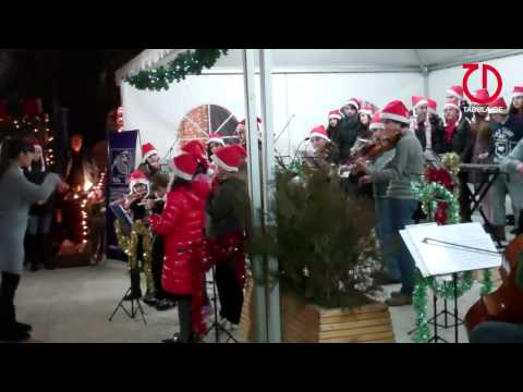 ნაძვის ხეები ბამბის რიგში