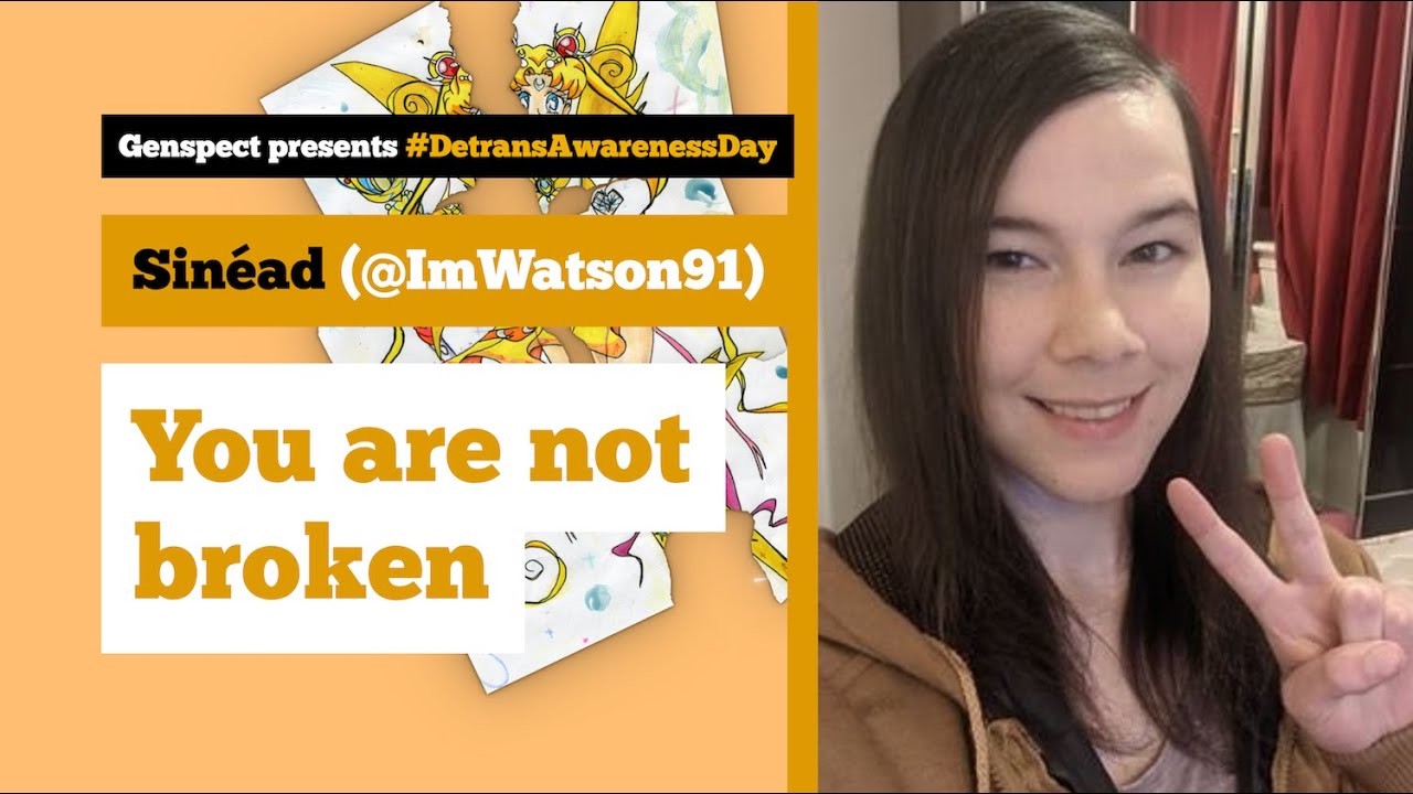 Detrans Awareness Day Webinar 2022 - Sinéad